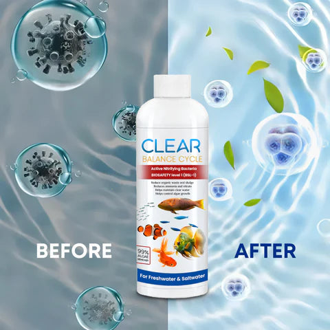 🔥2025 Hot Sale🔥Effective Algae Control for Aquarium (Pack of 3)