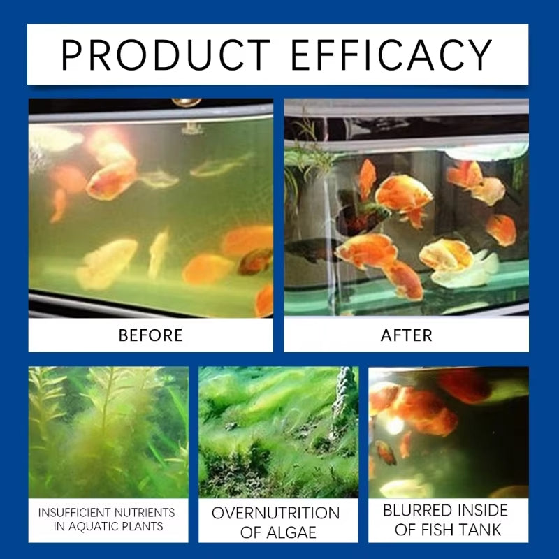 🔥2025 Hot Sale🔥Effective Algae Control for Aquarium (Pack of 3)