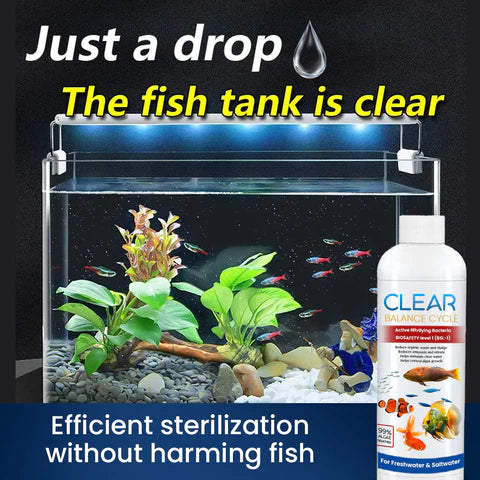 🔥2025 Hot Sale🔥Effective Algae Control for Aquarium (Pack of 3)